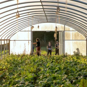 Background Checks for Farms, Ranches & Agricultural Workers